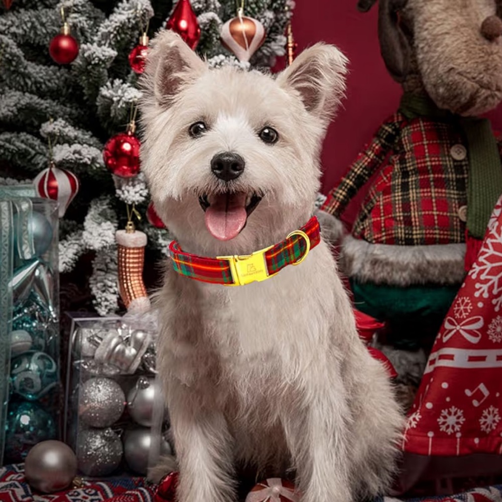 Dogwong Festive Red Plaid Dog Collar Size Small